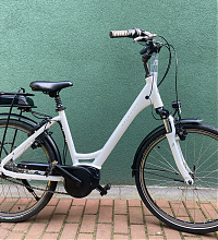 Trekking e-bike